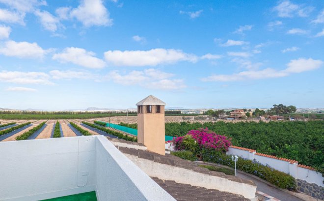 Herverkoop - Villa -
San Miguel de Salinas - Inland