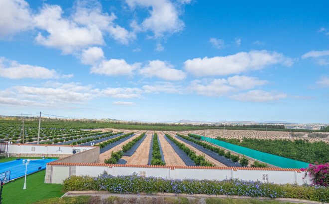 Herverkoop - Villa -
San Miguel de Salinas - Inland