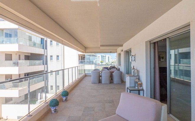 Resale - Apartment -
Los Dolses - Inland