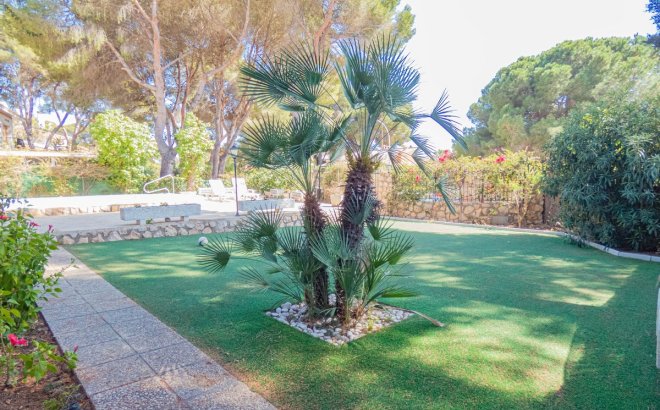 Resale - Villa -
Dehesa de Campoamor - Costa Blanca