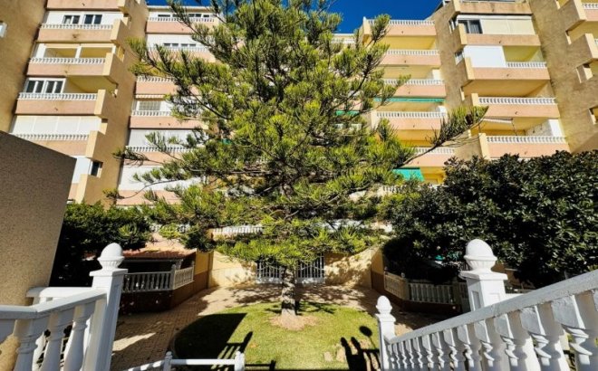 Resale - Penthouse -
La Mata - Costa Blanca