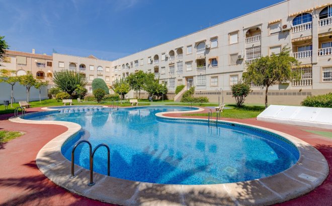 Revente - Appartement -
Torrevieja - Costa Blanca