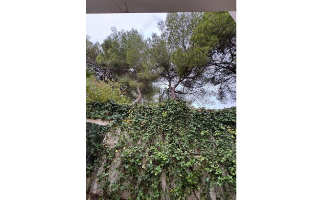 Resale - Town House -
Torrevieja - Punta Prima