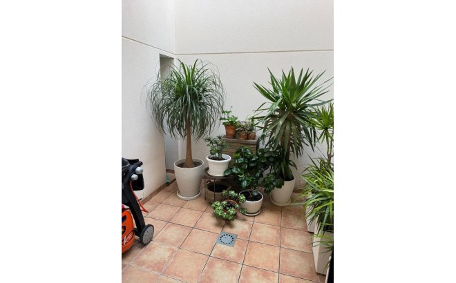 Resale - Town House -
Torrevieja - Punta Prima