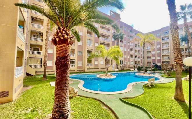 Resale - Apartment -
Torrevieja - Centro