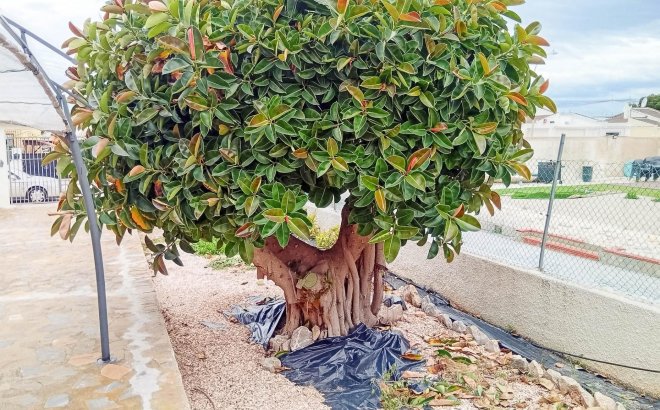 Revente - Villa -
Torrevieja - La Siesta - El Salado - Torreta