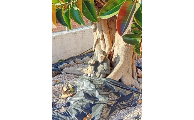 Revente - Villa -
Torrevieja - La Siesta - El Salado - Torreta