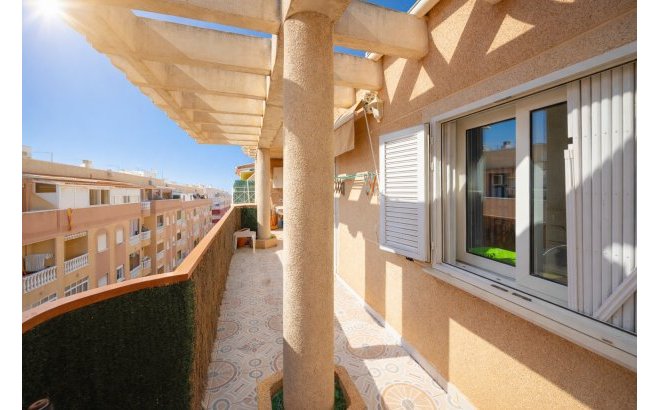 Resale - Apartment -
Torrevieja - Costa Blanca