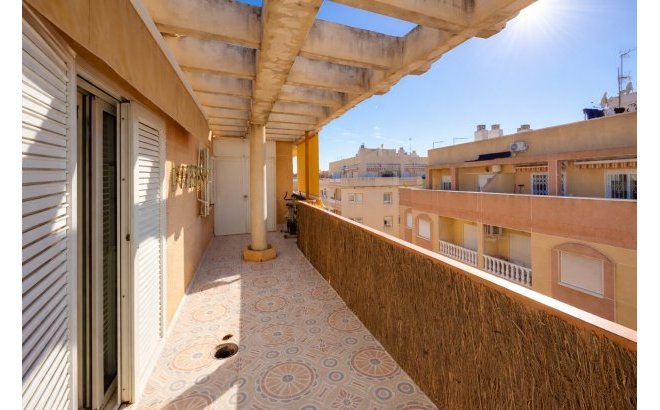 Resale - Apartment -
Torrevieja - Costa Blanca