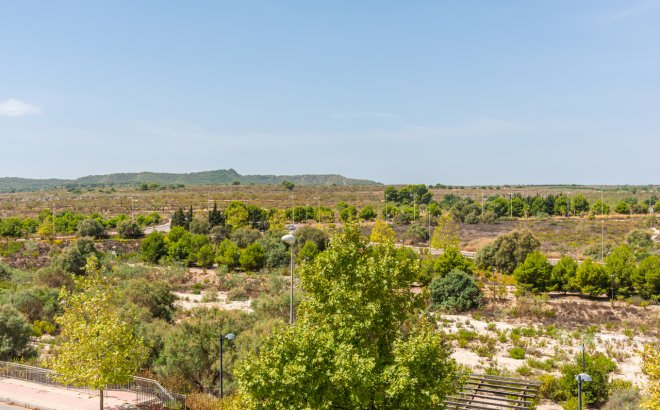 Resale - Apartment -
San Miguel de Salinas - Inland