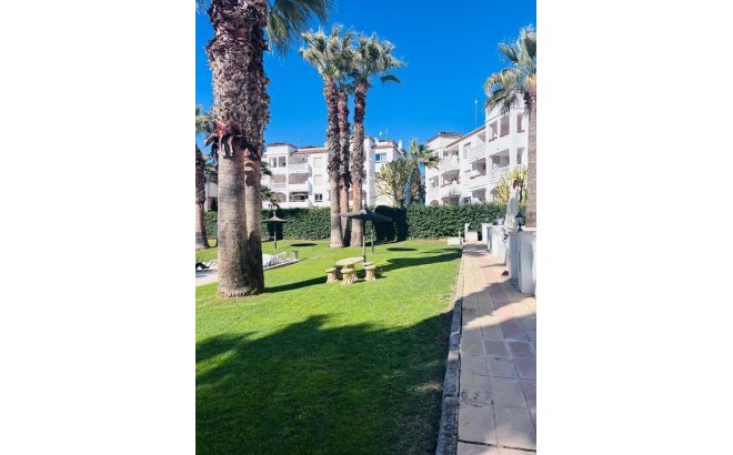 Resale - Apartment -
Villamartin - Costa Blanca
