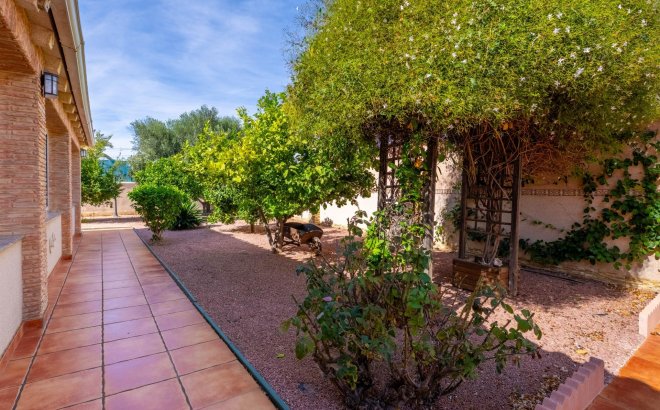 Resale - Villa -
Torrevieja - El Chaparral