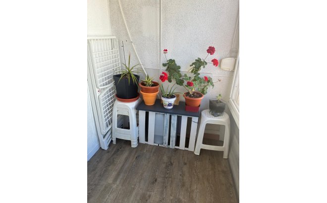 Resale - Apartment -
Torrevieja - Centro