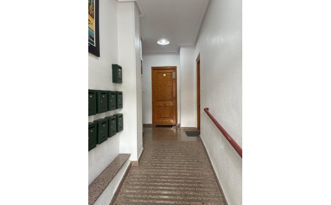 Resale - Apartment -
Torrevieja - Centro