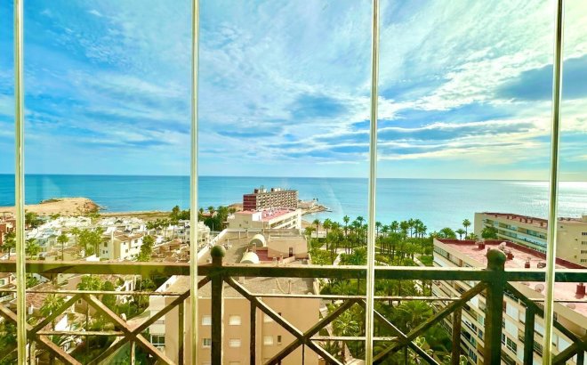 Resale - Apartment -
Torrevieja - Los Frutales