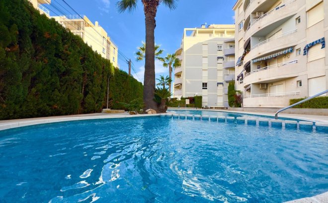 Herverkoop - Appartement -
Torrevieja - Playa del Cura
