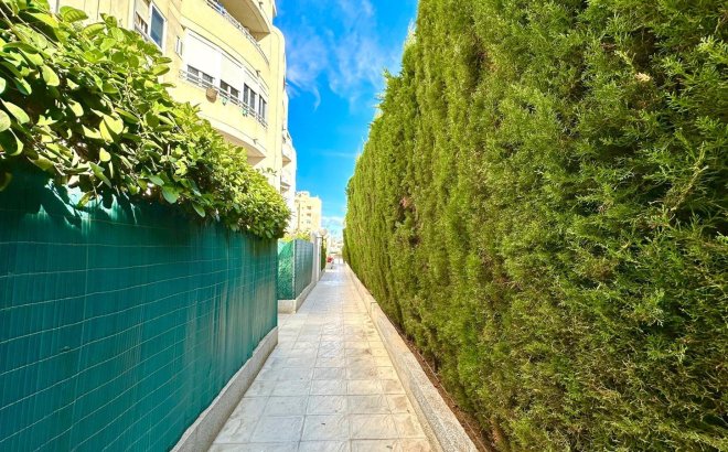 Herverkoop - Appartement -
Torrevieja - Playa del Cura