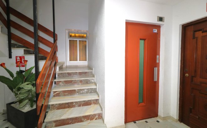 Resale - Apartment -
Torrevieja - Acequion