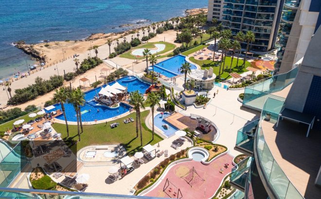 Resale - Penthouse -
Torrevieja - Punta Prima