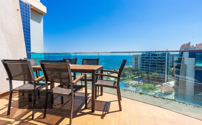 Resale - Penthouse -
Torrevieja - Punta Prima
