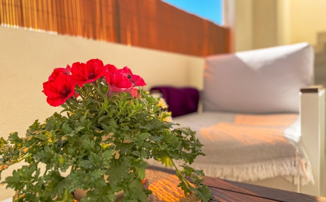 Resale - Bungalow -
Los Altos - Costa Blanca