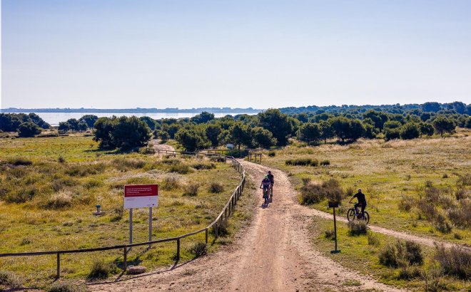 Resale - Apartment -
Torrevieja - Centro - Muelle Pesquero