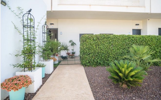 Resale - Apartment -
Pilar de la Horadada - Costa Blanca