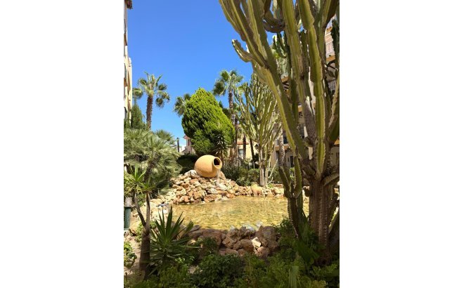 Resale - Penthouse -
Torrevieja - Los Frutales