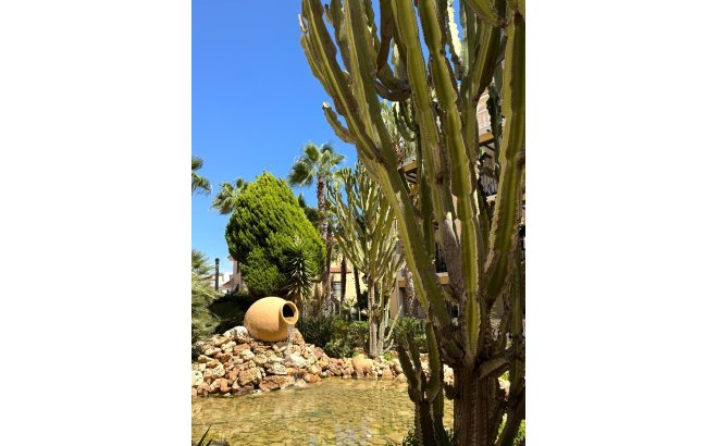 Resale - Penthouse -
Torrevieja - Los Frutales