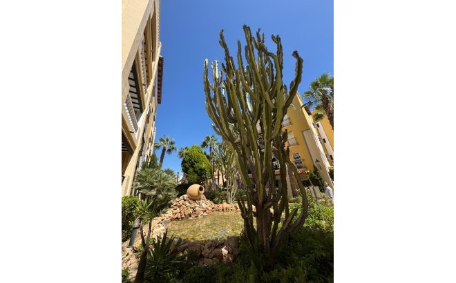 Resale - Penthouse -
Torrevieja - Los Frutales