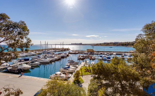 Resale - Apartment -
Torrevieja - Costa Blanca