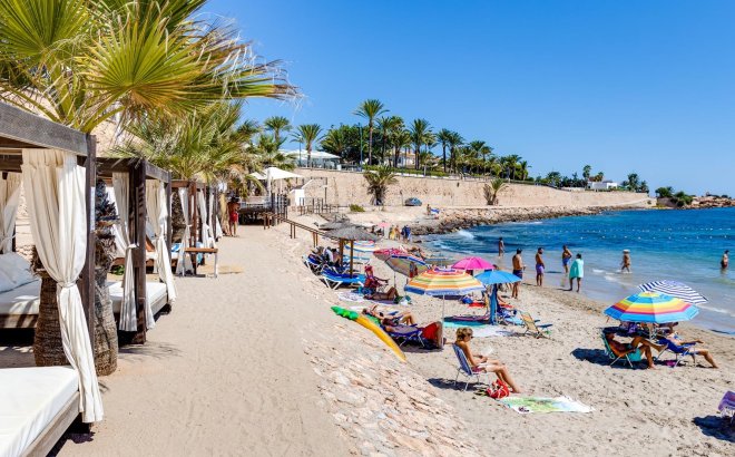 Resale - Apartment -
Torrevieja - Costa Blanca