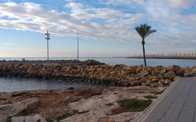 Resale - Apartment -
Torrevieja - Costa Blanca