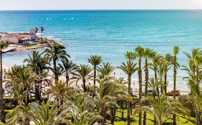 Revente - Appartement -
Torrevieja - Playa de los Locos