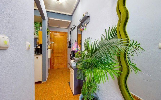 Herverkoop - Appartement -
Torrevieja - Centro