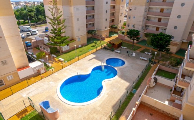 Resale - Apartment -
Torrevieja - Costa Blanca