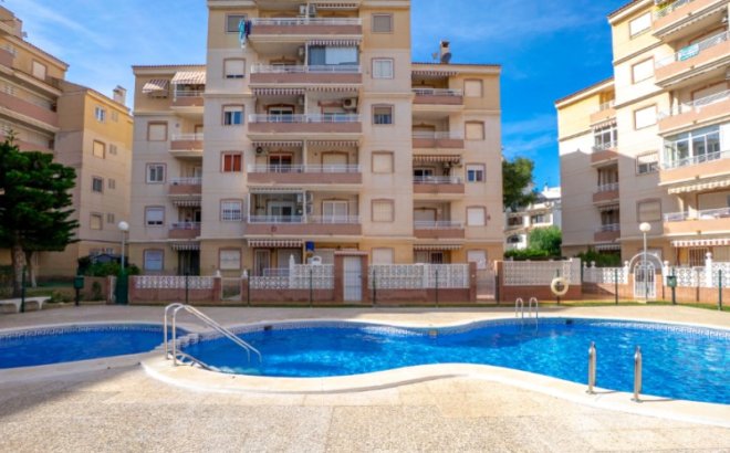 Resale - Apartment -
Torrevieja - Costa Blanca