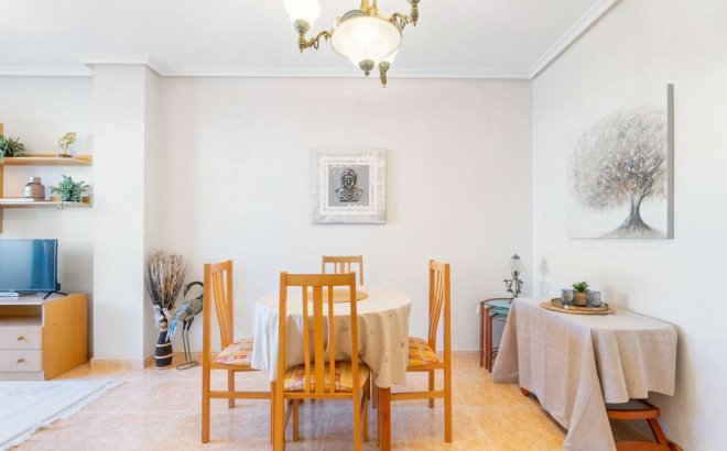 Resale - Apartment -
Torrevieja - Costa Blanca