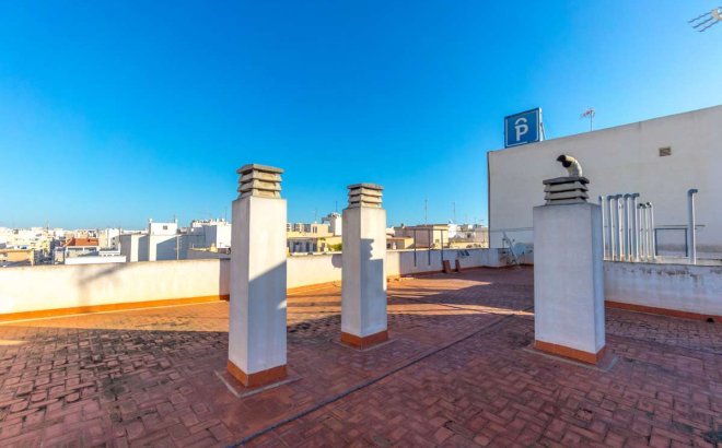 Resale - Apartment -
Torrevieja - Costa Blanca