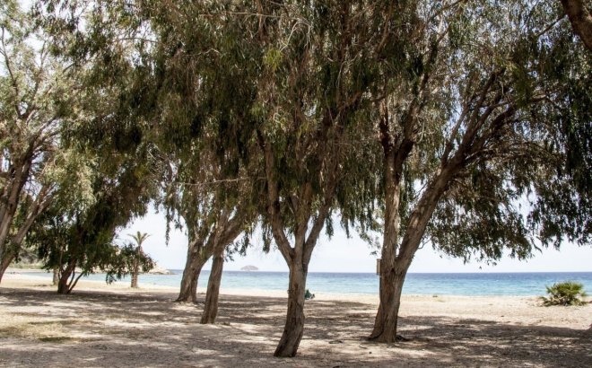 Nouvelle Construction - Appartement -
Villajoyosa - Playa Les Torres