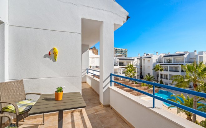 Revente - Appartement -
Torrevieja - Costa Blanca