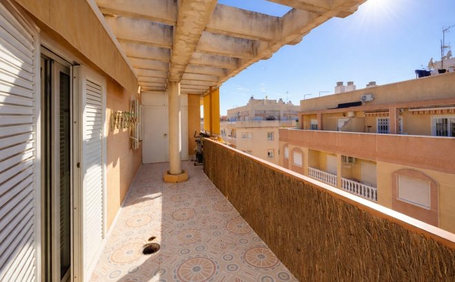 Revente - Appartement -
Torrevieja - Costa Blanca