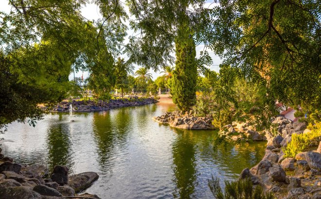 Revente - Appartement -
Torrevieja - Costa Blanca