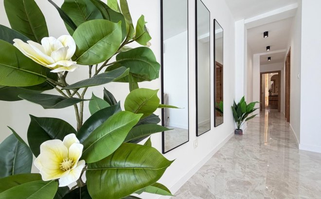 Resale - Penthouse -
Torrevieja - Estacion De Autobuses