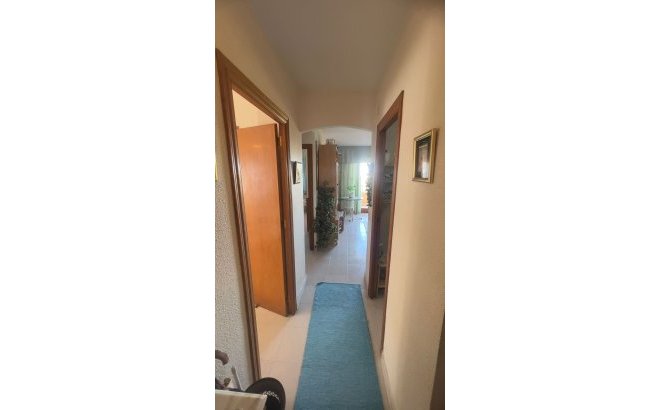 Revente - Appartement -
Torrevieja - Costa Blanca