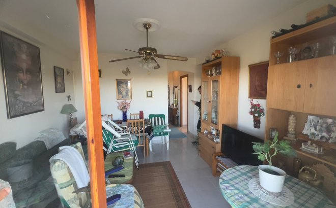 Revente - Appartement -
Torrevieja - Costa Blanca