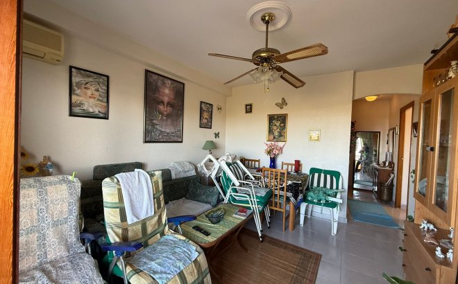 Revente - Appartement -
Torrevieja - Costa Blanca