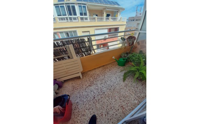 Revente - Appartement -
Torrevieja - Costa Blanca