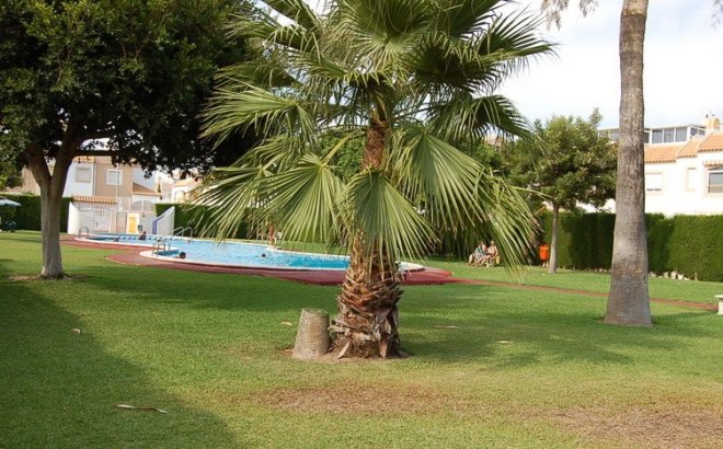 Revente - Town House -
Torrevieja - Costa Blanca