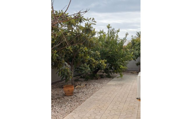 Resale - Villa -
Playa Flamenca - Costa Blanca